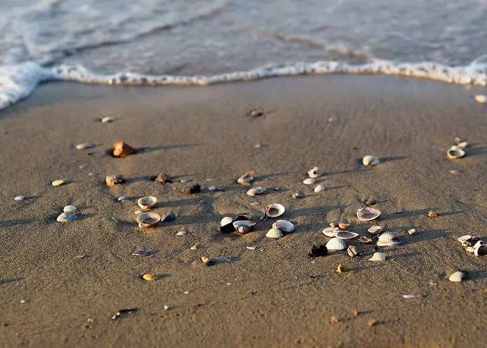 Bright With Private Garden-beahost *